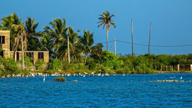 Prorider Trip Sri Lanka Beauty Kalpitiya Lagoon Birds