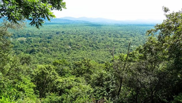 Prorider Trip Sri Lanka Beauty Dambulla Sigiriya View From Top