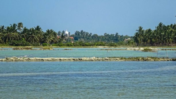 Prorider Trip School Kite Sri Lanka Lagoon Peace